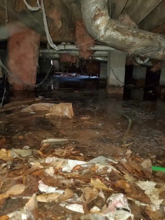 Crawl space flood assessment for Leak Detection & Repair in Fillmore